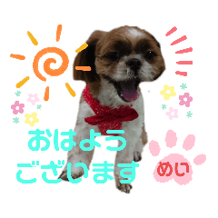 Lineスタンプ シーズー犬めいの日常スタンプ 8種類 1円